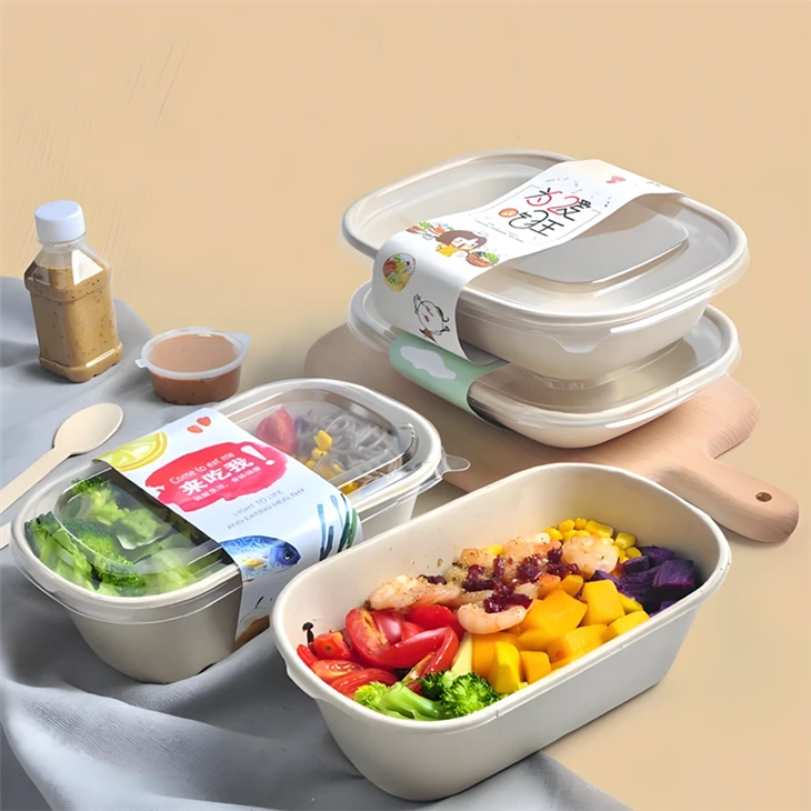 Sugarcane Bagasse Disposable Lunch Box best